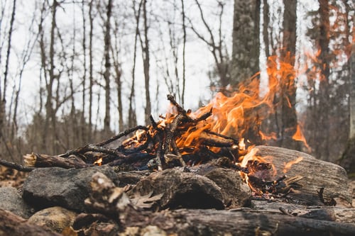 Feuer-im-Wald-machen