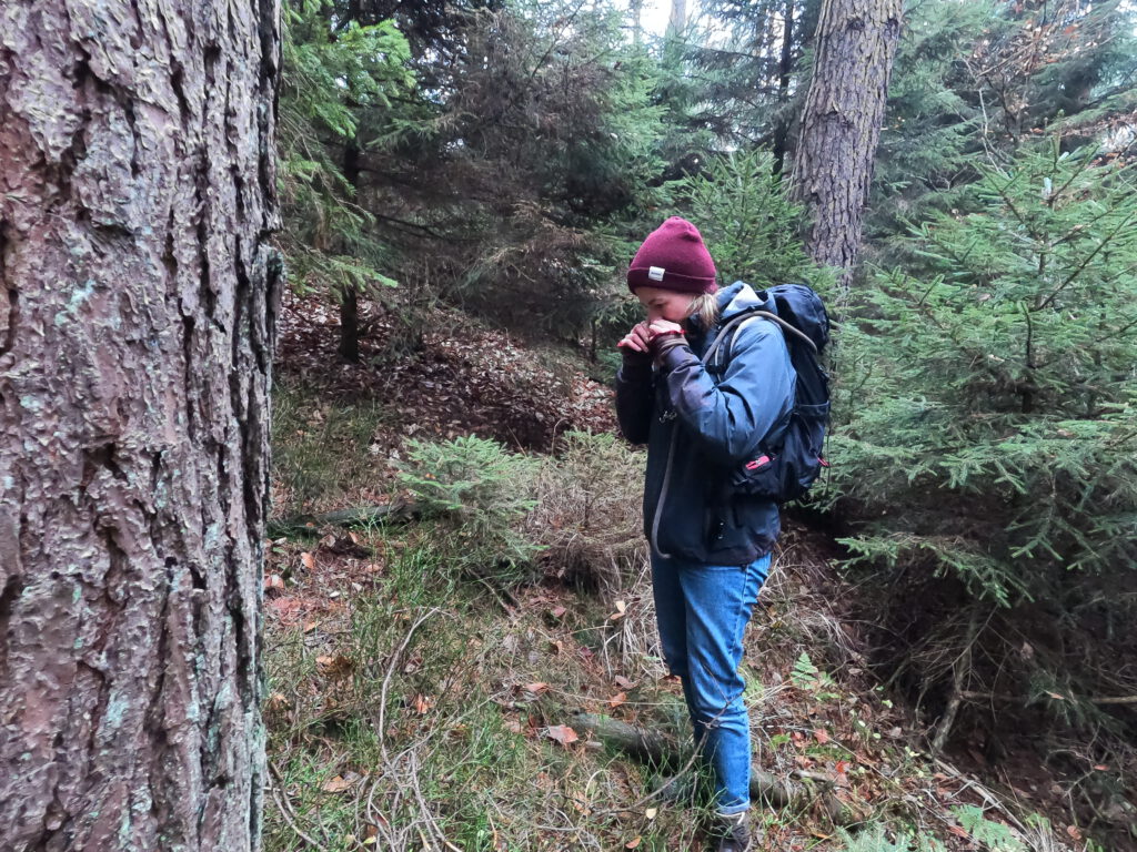 Wald mit allen Sinnen