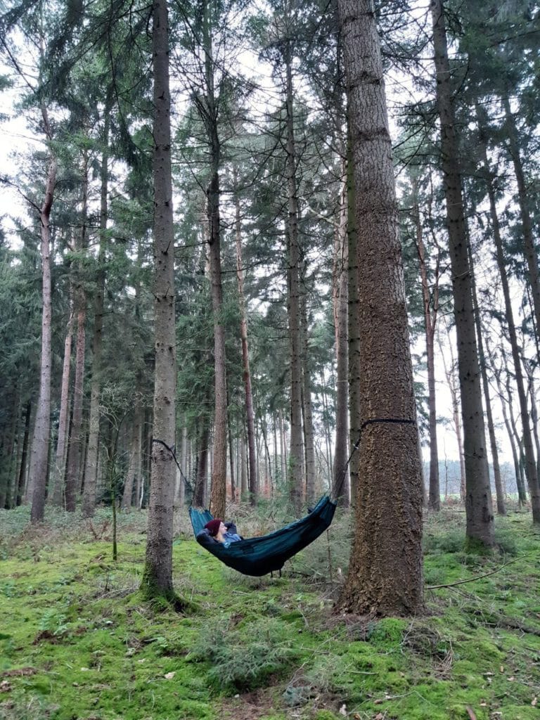 Schlafen im Wald